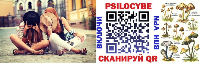 Купить  Оренбург  Галлюциногенные грибы Psilocybine cubensis 